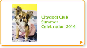 Citydog! Club Summer Celebration 2014