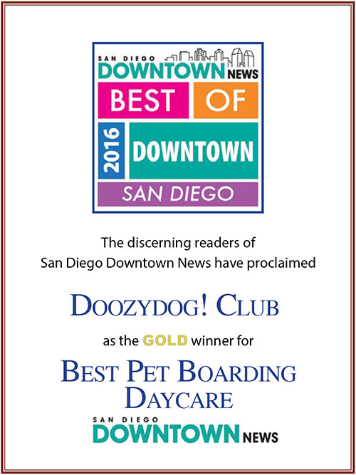 Best of Downtown San Diego – Best Pet Boarding