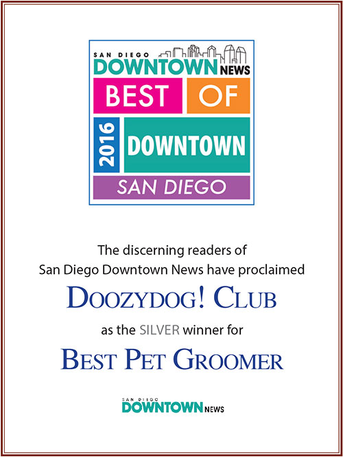 Best of Downtown San Diego – BEst PEt Grooming